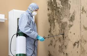 Best Mold Remediation for Healthcare Facilities  in North Granby, CT